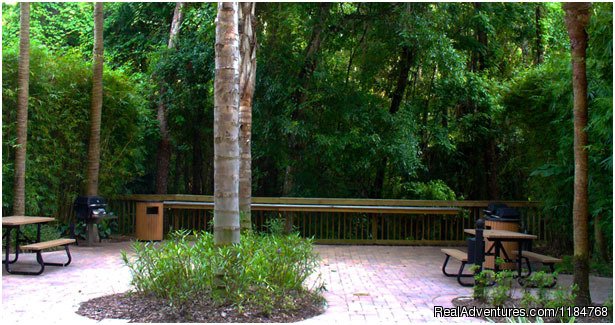 Barbecue Grill and Picnic Area | Disney World and Universal Studios Promotion | Image #12/13 | 