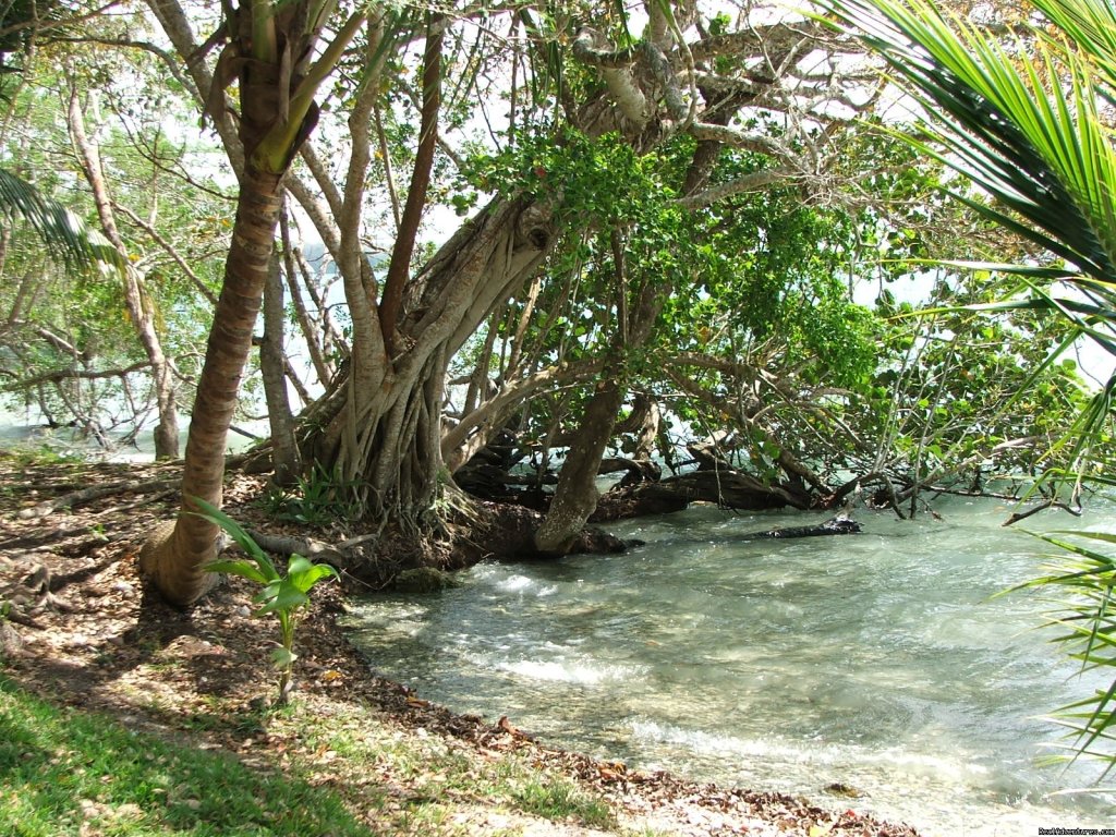 The Cove | Romantic Tropical Getaway,Casa Estrella de Bacalar | Image #5/18 | 