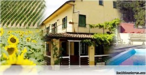 Vineyard retreat in heart of Piedmont, Italy | Piedmont, Italy Vacation Rentals | Italy Accommodations