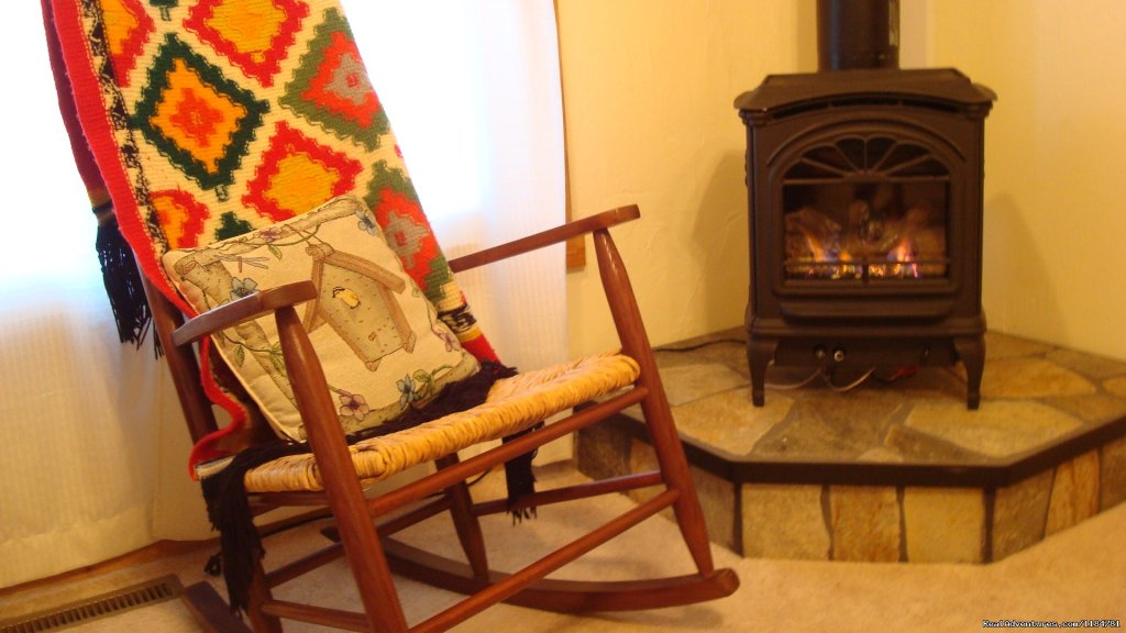 Cozy Up By The Fire In The Living Room | Mt Evans Cabin, Hot Springs & Historic Town | Image #10/24 | 