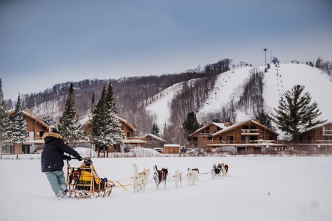 Dogsledding At Schuss Mountain | Image #12/14 | Shanty Creek Resorts