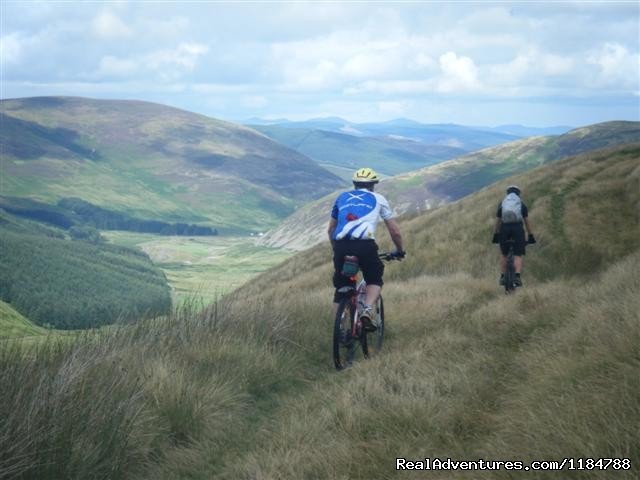 Bike the Southern Upland Way | Mountain Biking and Cycling Holidays in the UK | Image #10/12 | 