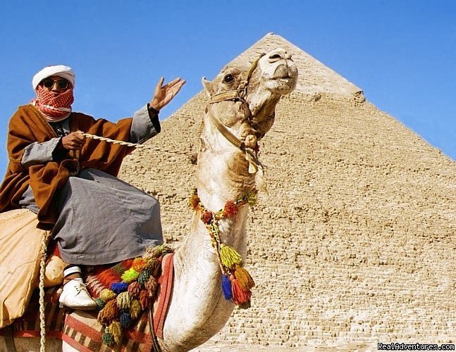 Thimo Tours | Cairo, Egypt | Sight-Seeing Tours | Image #1/1 | 