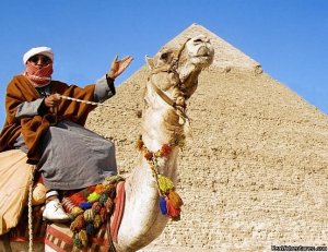 Thimo Tours | Cairo, Egypt | Sight-Seeing Tours