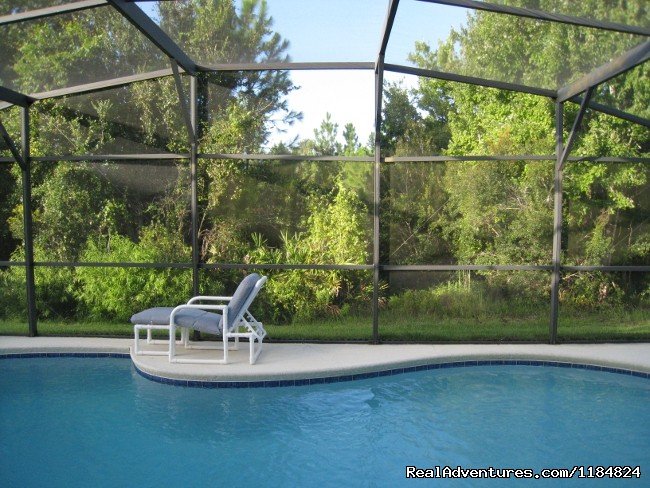Pool backing onto conservation land - privacy | Disney Vacation Pool Home -Backs onto Conservation | Image #4/13 | 