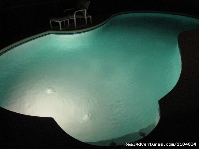 Pool lights for late night swims | Disney Vacation Pool Home -Backs onto Conservation | Image #5/13 | 