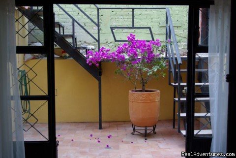 Lower Courtyard | Casita in Historical Colonial City in Mexico | Image #4/4 | 