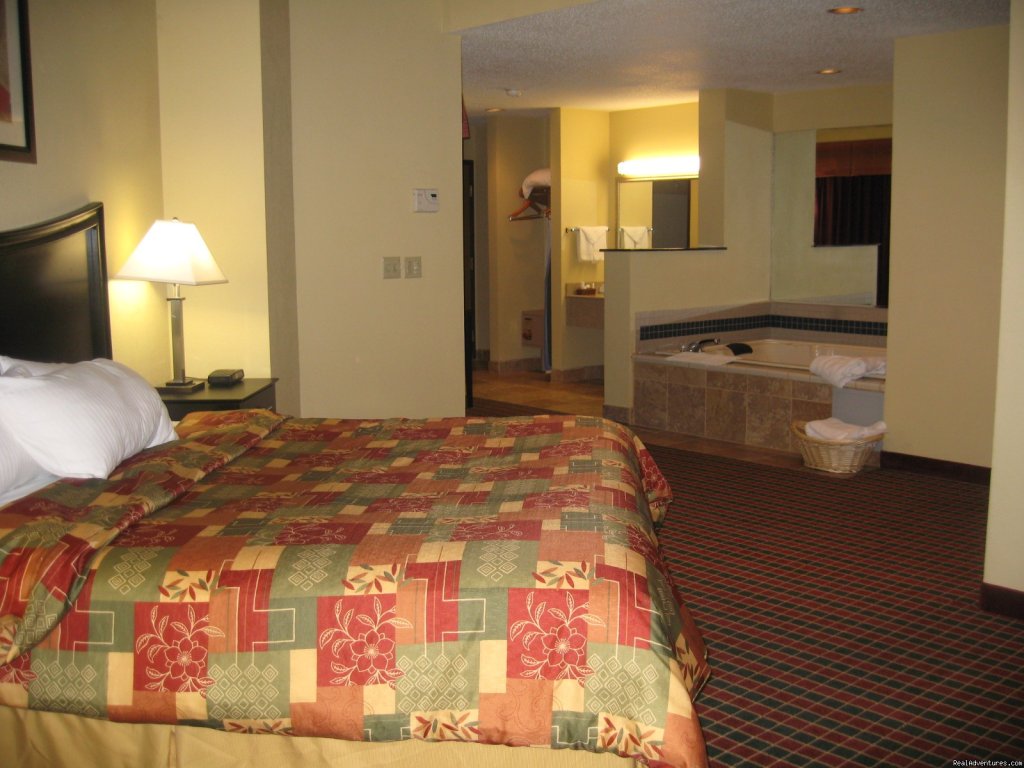 1 king sized bed | Best Western Canal Winchester-Columbus Soth East | Image #4/4 | 