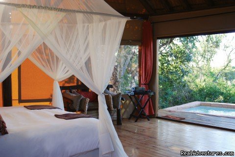 View inside the rooms | The Bush Lodge | Port Elizabeth, South Africa | Wildlife & Safari Tours | Image #1/9 | 