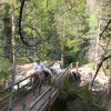 High Lake Wilderness Trips and Horseback Riding Rock Creek Bridge