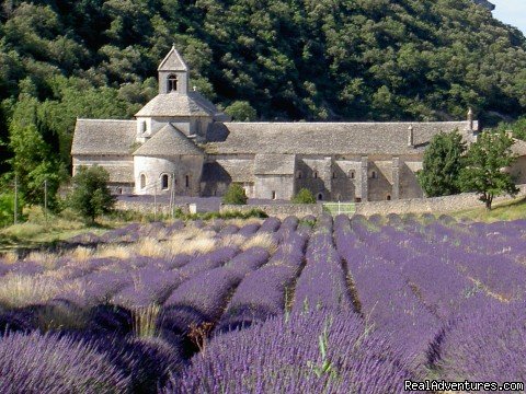 Abbey of Senanque | Sightseeing tours in Provence | Image #3/7 | 