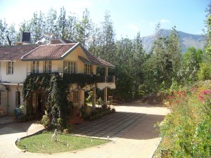 Jungle camping Devigiri Coffee Estate Chikmagalur | Chikmagalur, India Hotels & Resorts | Hotels & Resorts Pune, India