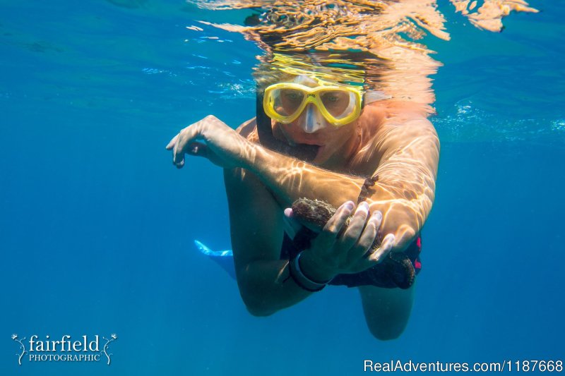 Marine Adventure, Fabio | Educational and fun snorkelling day trips | Image #2/12 | 