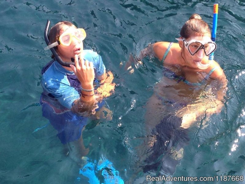 Marine Adventure | Educational and fun snorkelling day trips | Image #4/12 | 