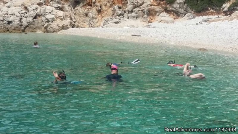 Marine Adventure | Educational and fun snorkelling day trips | Image #5/12 | 