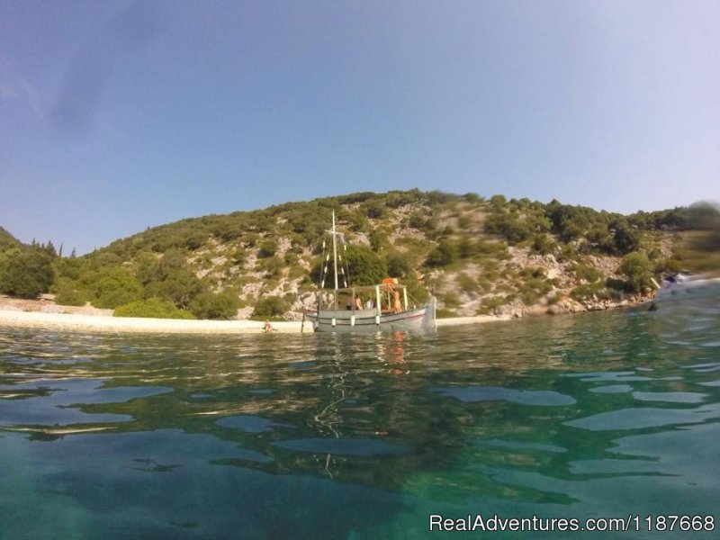 Marine Adventure | Educational and fun snorkelling day trips | Image #11/12 | 
