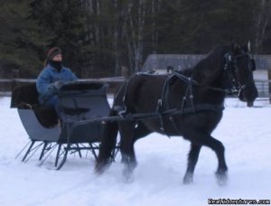 Horse Drawn Sleigh Rides & Carriages Rides  | Big Falls, Minnesota Horseback Riding & Dude Ranches | Eau Claire, Wisconsin Adventure Travel