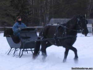 Horse Drawn Sleigh Rides & Carriages Rides 