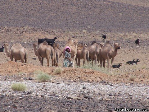 Your Morocco Tour | Image #10/16 | 