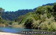 Summerland Cabin Russian River | Wine Country, California Vacation Rentals | California Vacation Rentals