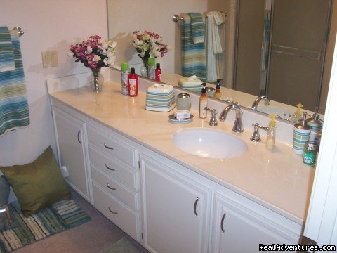 Guest Bathroom1 | May Special $2,999/mo!!! Includes utilities!!! | Image #11/16 | 