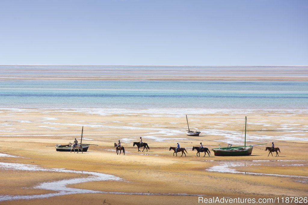 Mozambique Horse Safari | Vilanculos, Mozambique | Horseback Riding & Dude Ranches | Image #1/4 | 