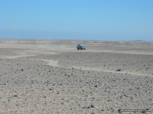 The Great SAHARA | No one knows Egypt Like us | Image #8/11 | 