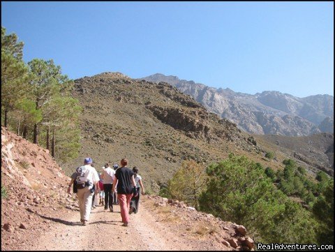 walking | trekking in Toubkal | Mountains, Morocco | Hiking & Trekking | Image #1/1 | 