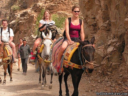 Mule Trekking/Riding | Day excursion to the high Atlas Mountains - Kasbah | Image #2/6 | 