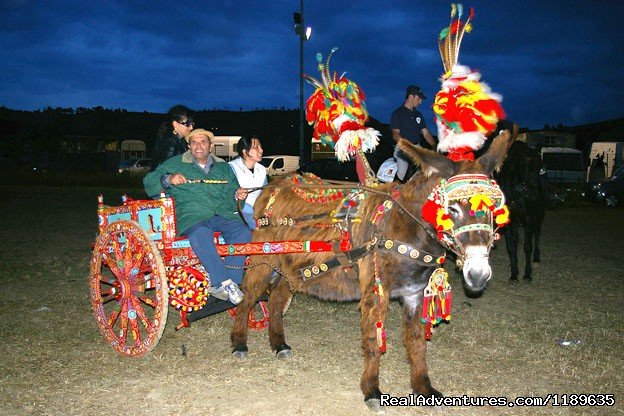 Colourful traditional cart at one of the shows. | Sicily - Horse Riding and Activity Holidays | Image #10/18 | 