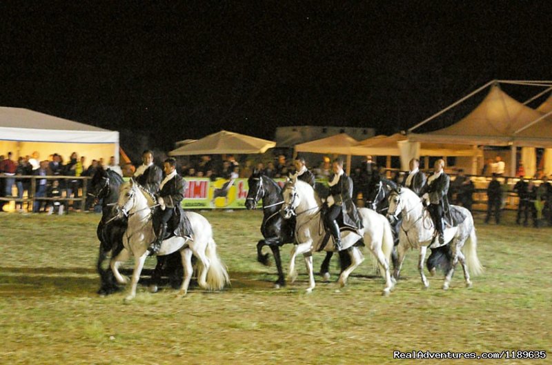 Lovely show at Agrigento | Sicily - Horse Riding and Activity Holidays | Image #6/18 | 