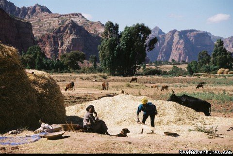 Highlands of Tigray | Tours in Ethiopia ..The right way | Image #10/17 | 