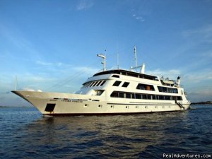 Dive the Maldives on MV Yasawa Princess | Male, Maldives Scuba & Snorkeling | Maldives Adventure Travel