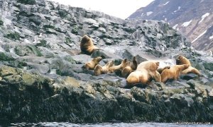 Ecotours and expeditions in East Russia  | Moscow, Russian Federation Eco Tours | Europe Nature & Wildlife