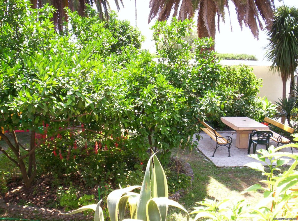 Garden 2 | Relaxing vacation in Apartments GaMa Igalo | Image #22/25 | 