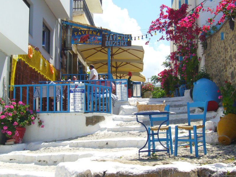 Greek taverna, Samos | Archaeological Tours, Gulet Cruises and Charters | Image #20/23 | 