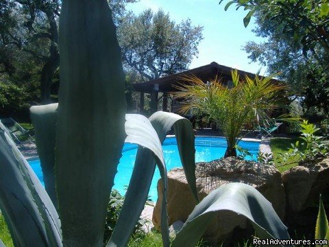 agave and pool | Sun ,sea,trekking , Kayak ,culture & The Best Food | Image #14/19 | 