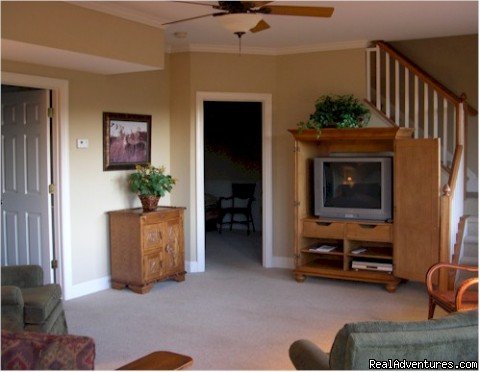 Terrace Level Den with TV/Cable/DVD and Pull out Couch | Image #6/13 | Bear's Den Luxury Home Rental in Big Canoe