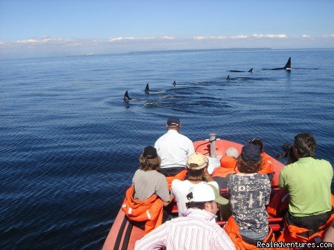 Gulf Islands Canada | Vancouver, British Columbia  | Eco Tours | Image #1/1 | 