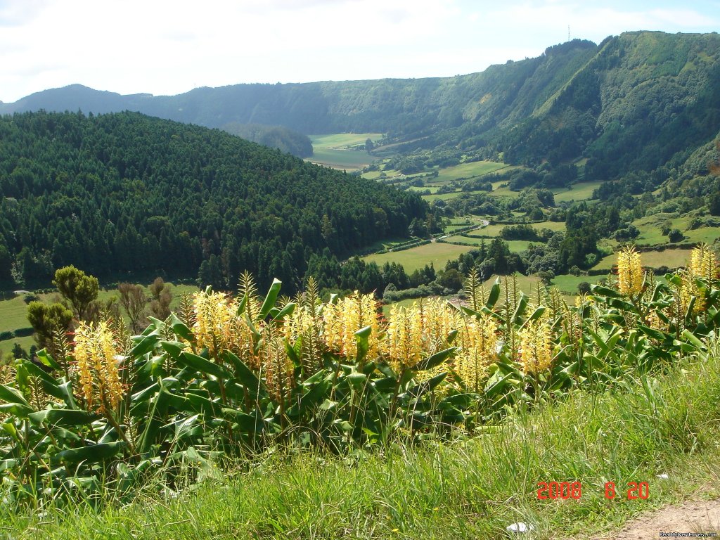Valley of Sete Cidades Crater | Azores Van & Car Tours | Image #9/26 | 