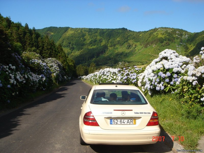 Road of Hidrangeas | Azores Van & Taxi Tours | Image #10/26 | 