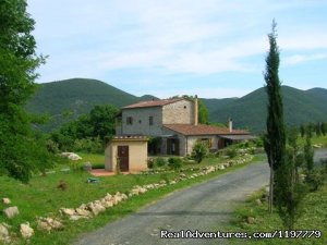 Holiday Apartment Tuscany Coast Near Pisa