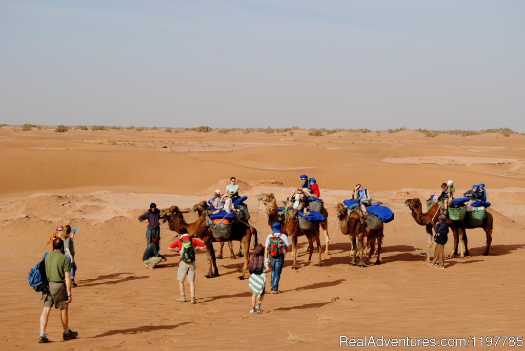 Premium Morocco Camel Trek Tours | Premium Morocco Tours | Image #4/18 | 