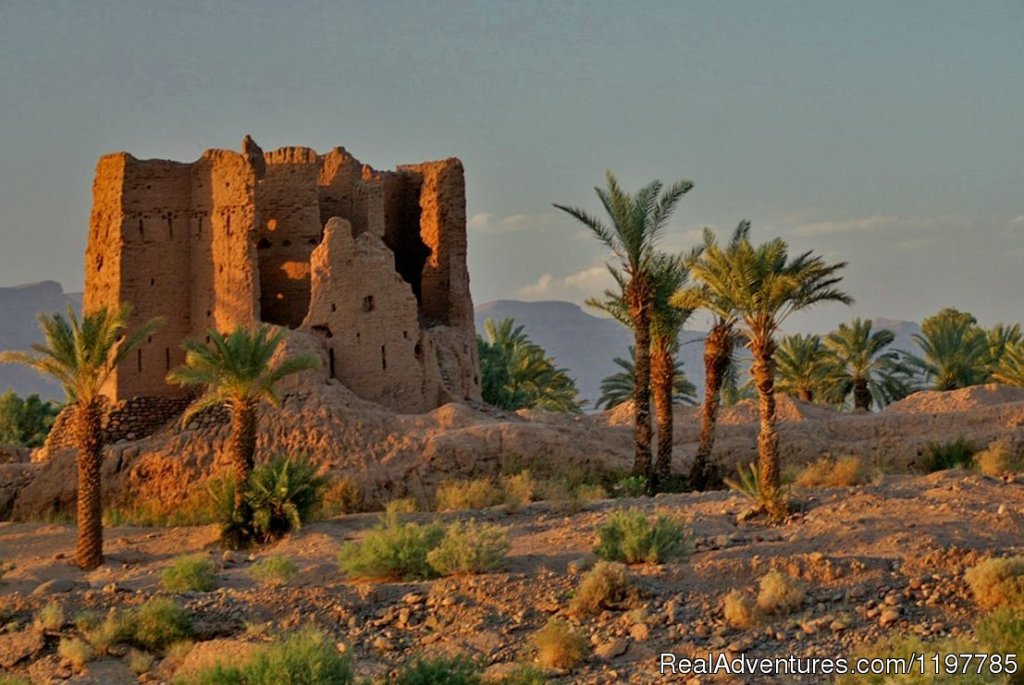 Premium Morocco Tours | Image #11/18 | 