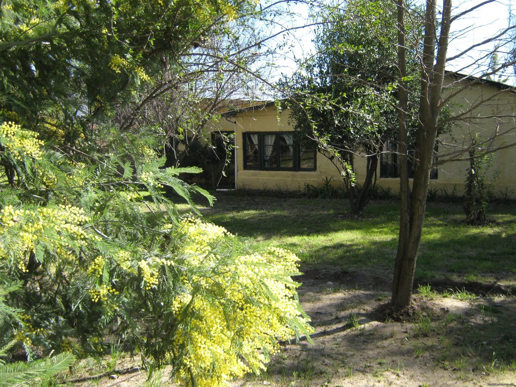 garden | Lodging in rural house at  Aconcagua Valley | San Felipe-Los Andes, Chile | Bed & Breakfasts | Image #1/15 | 