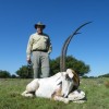 Hunting Packages in Texas Hill Country World Record Scimitar Horned Oryx