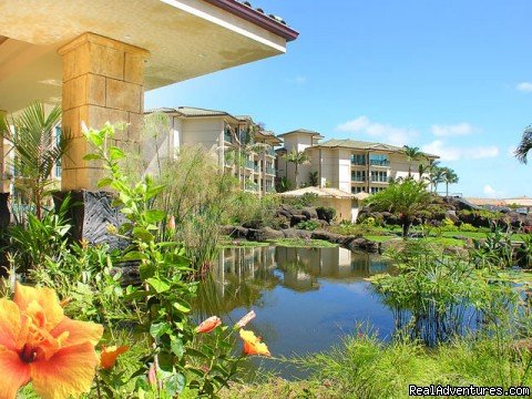 Lush tropical landscaping around the koi pond | Guests Rave about Us See Why Resort+Snorkel Gear | Image #9/21 | 