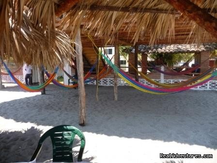 Beachside Hammock