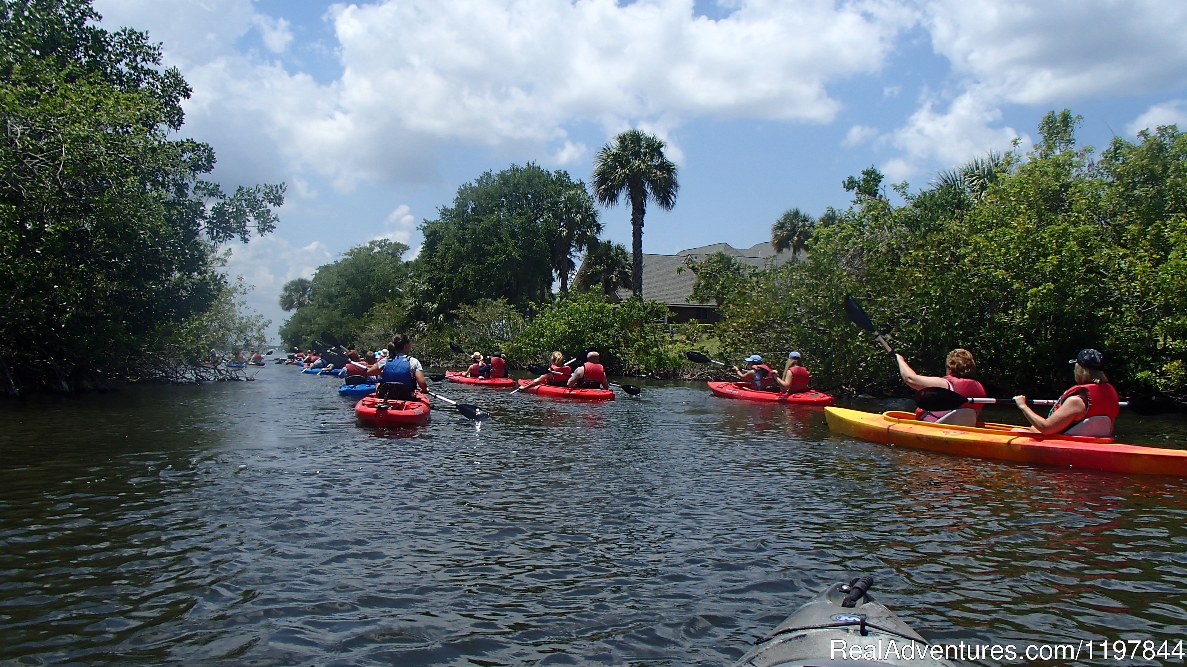 A Day Away Kayak Tours, Titusville, Florida Eco Tours | RealAdventures
