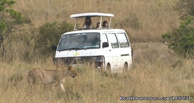 Game Drive | 14 Nights Safari In Kenya And Tanzania | Image #6/9 | 